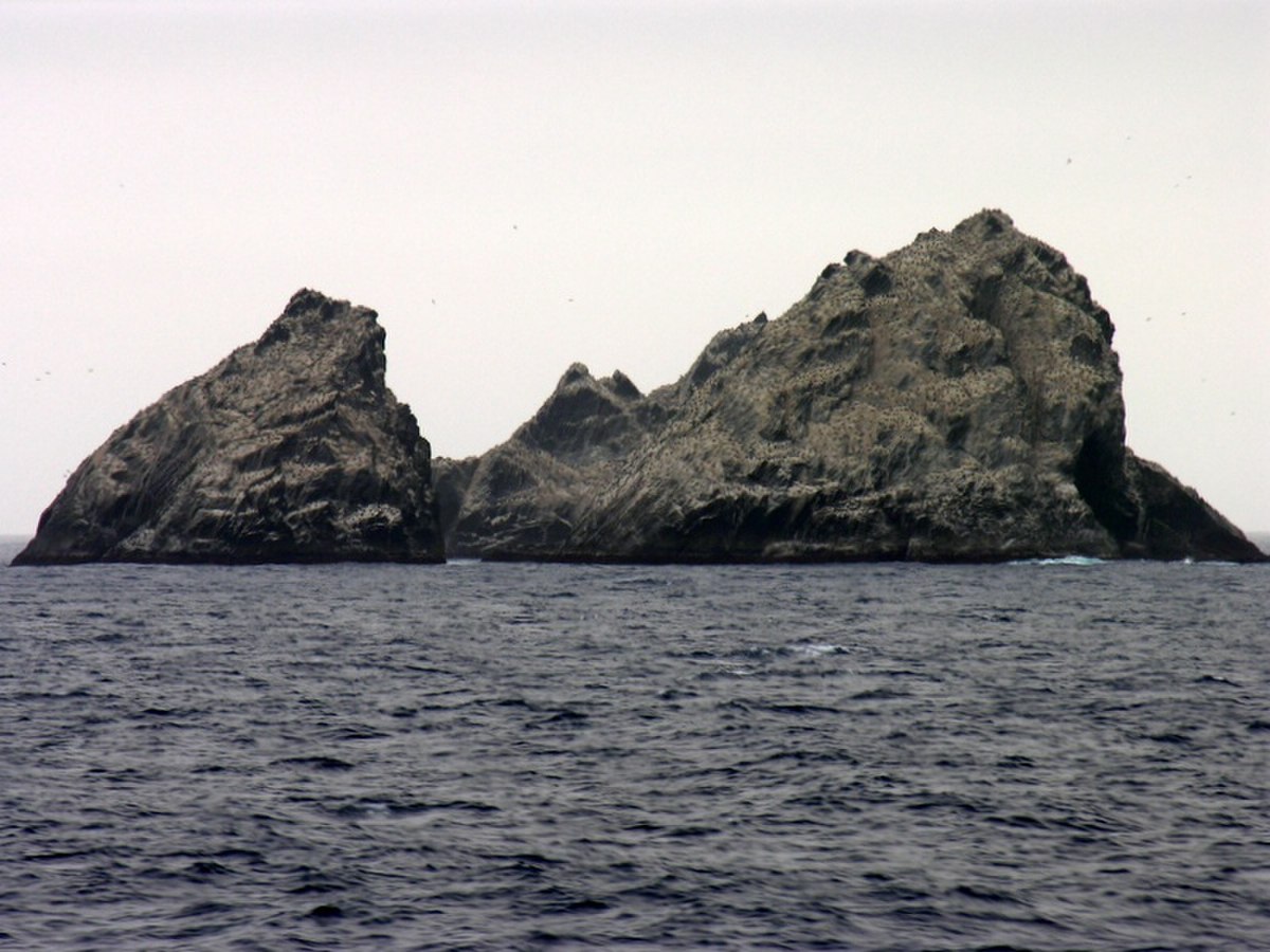 Shag Rocks