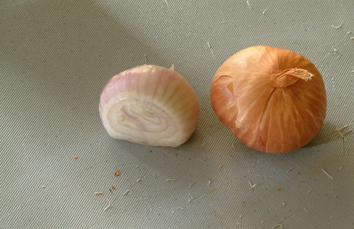 Échalote