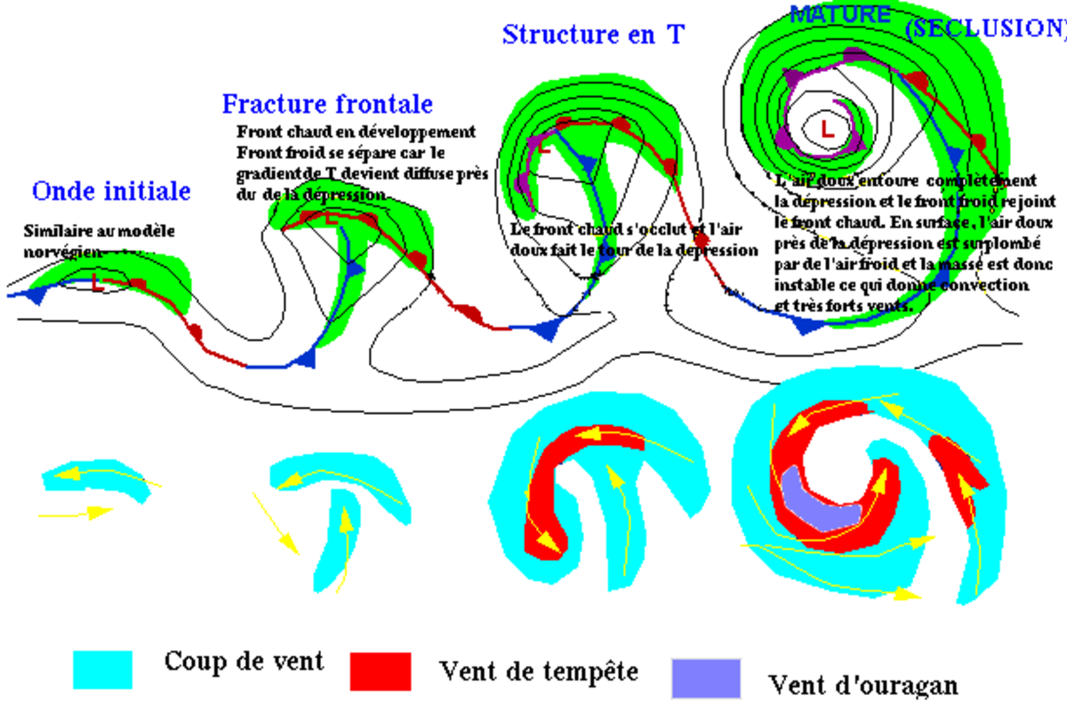 Shapiro-Keyser Cyclone fr2.png