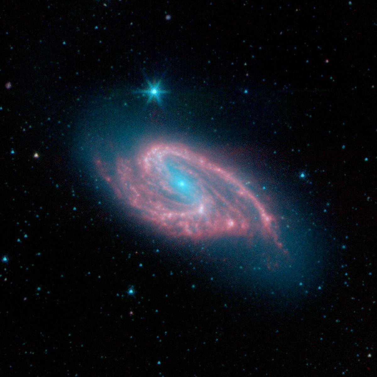 M66