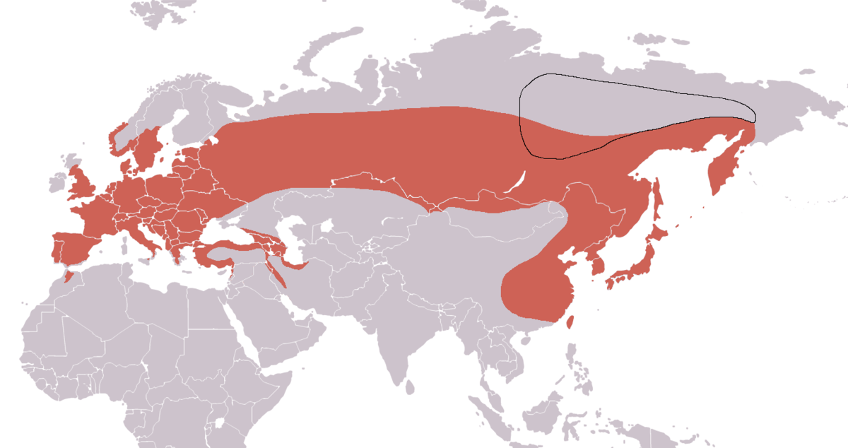Sitta europaea distribution map.png
