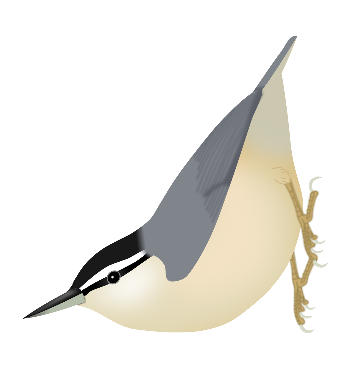 Liste des espèces d'oiseaux de France