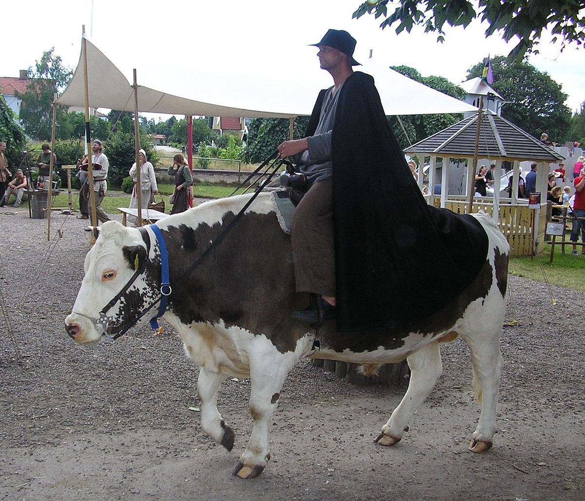 Taureau