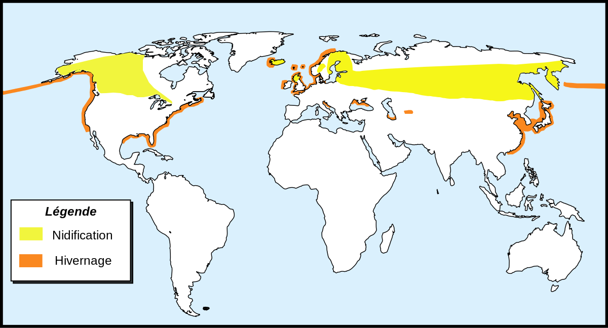 Répartition de Podiceps auritus