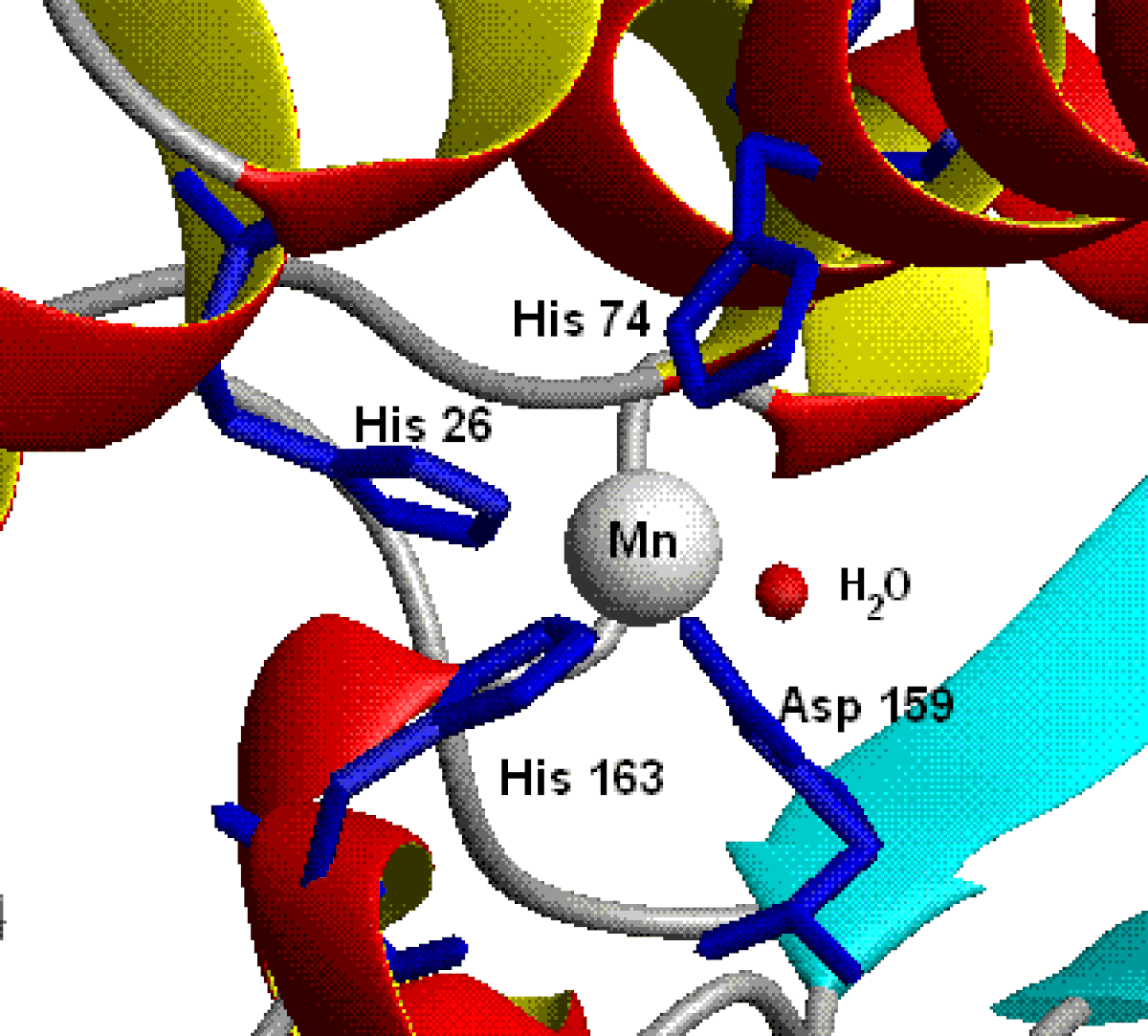 Chimie bioinorganique