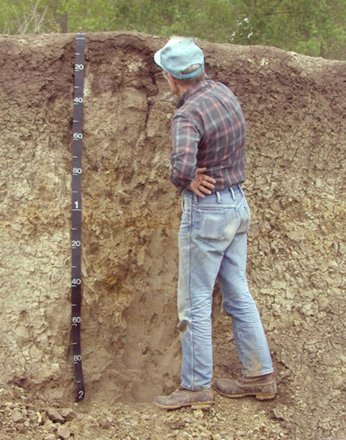 Pédologie (géotechnique)