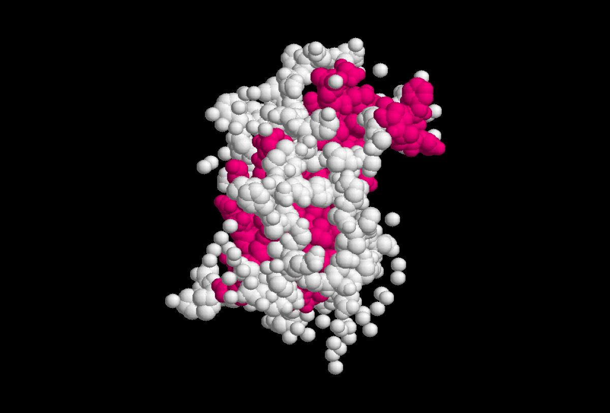 Hormone de croissance