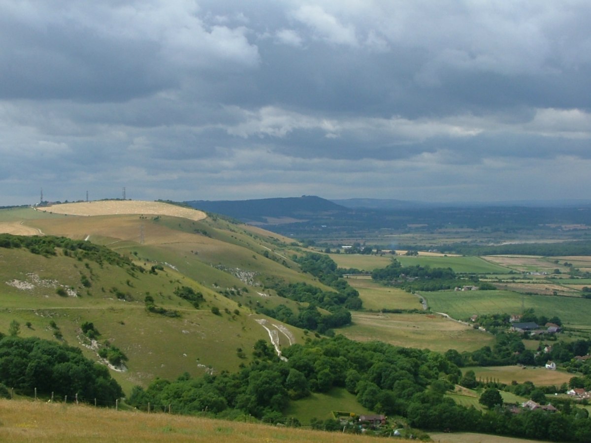 Downs du Sud