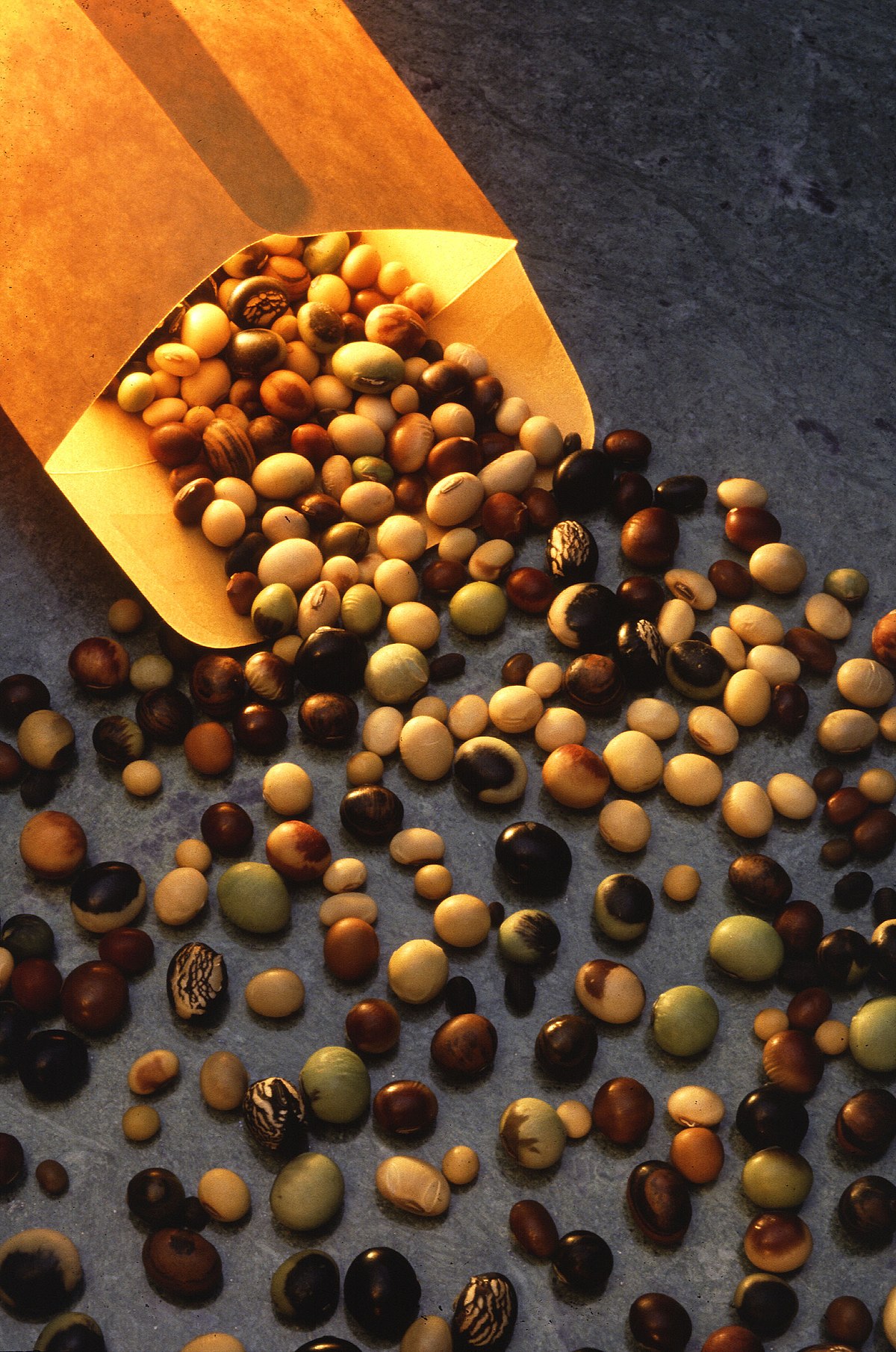 Graines de diverses variétés