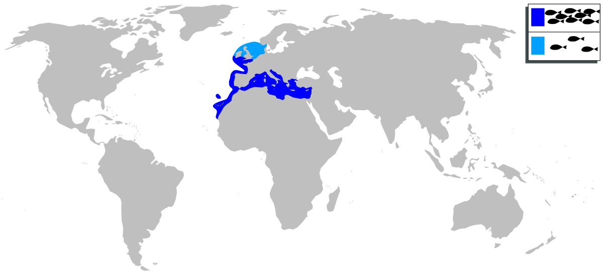 Sparus aurata mapa.svg