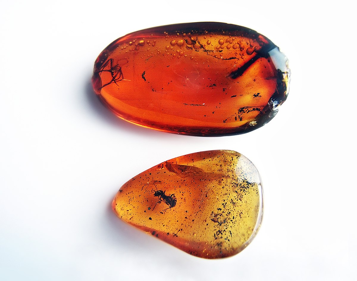 Ambre
