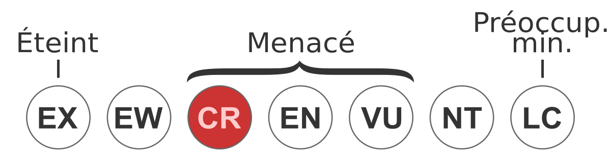 Schéma montrant le risque d'extinction sur le classement de l'IUCN.