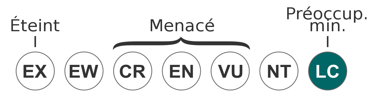 Souïmanga du miombo