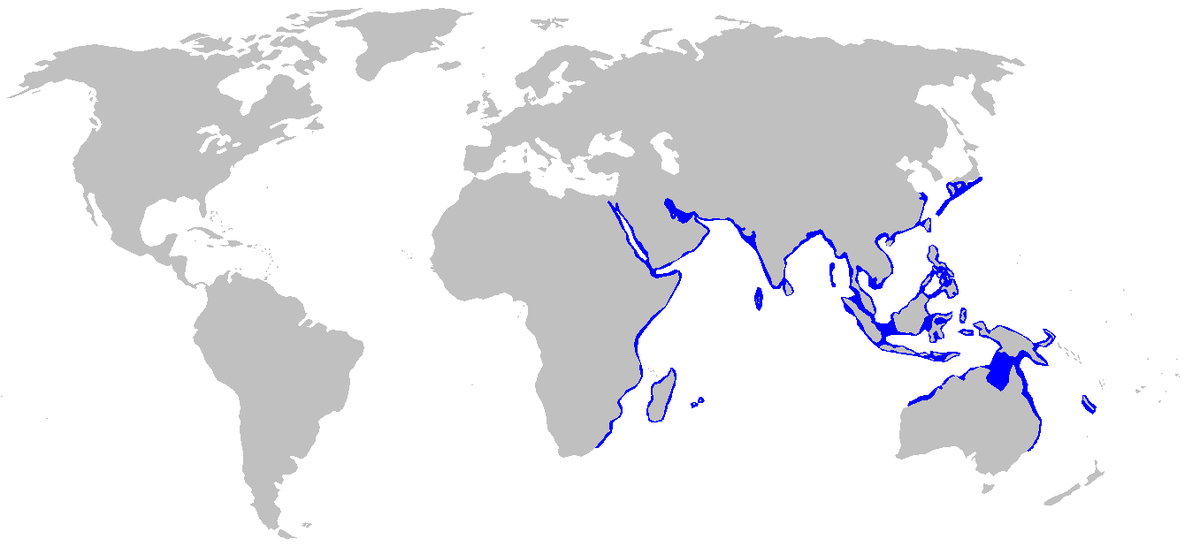 Stegostoma fasciatum distmap.png