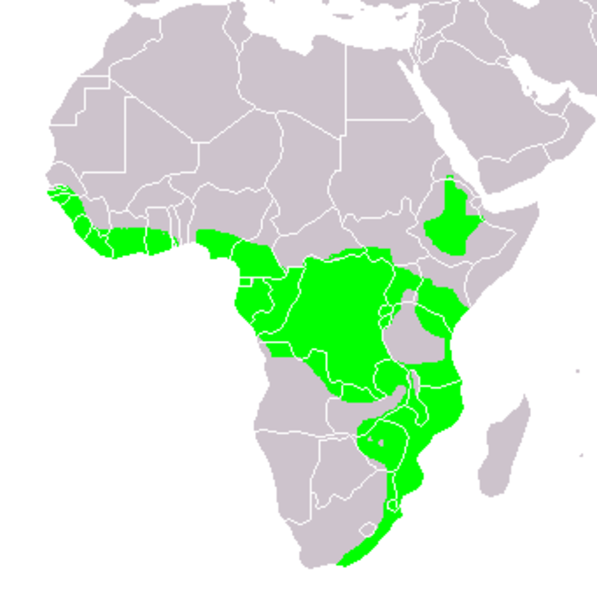 Stephanoaetus coronatus area.PNG