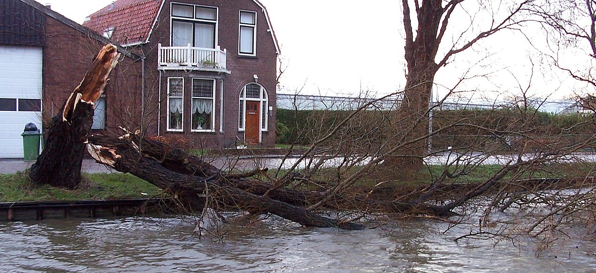 Tempête
