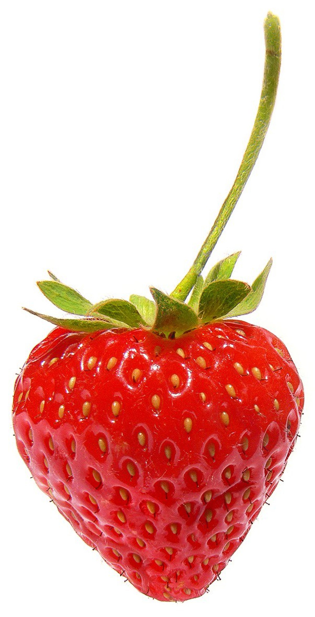 Fraise (fruit)