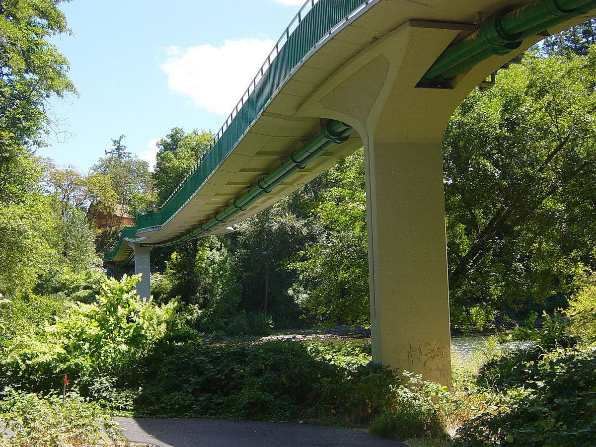 StressedRibbonBridgeUnderside7138.JPG