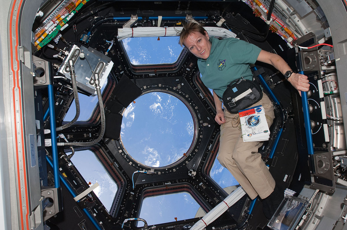 2010 en astronautique