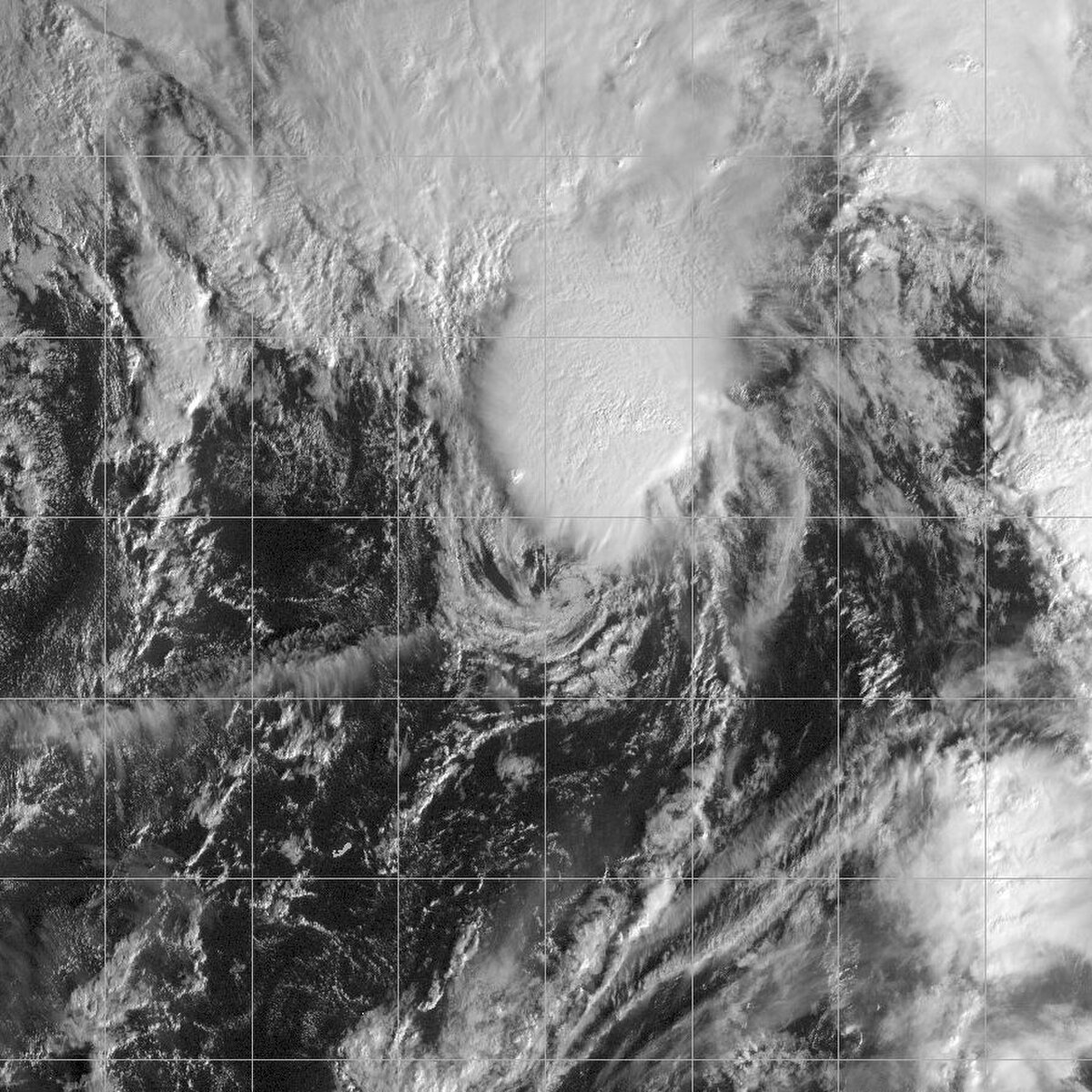 Tempête subtropicale Nicole (2004)