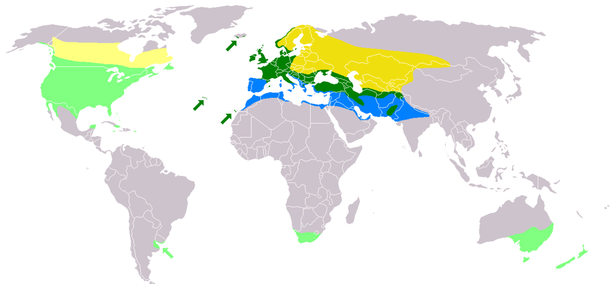 populations autochtones :