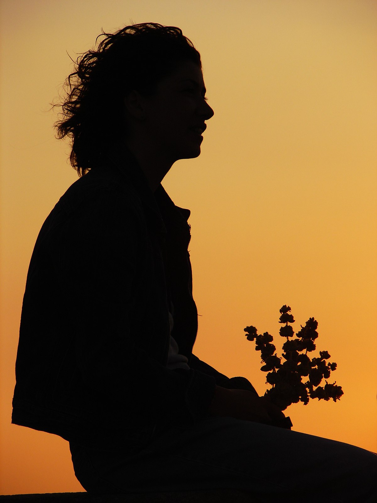 Sunset 02459.jpg