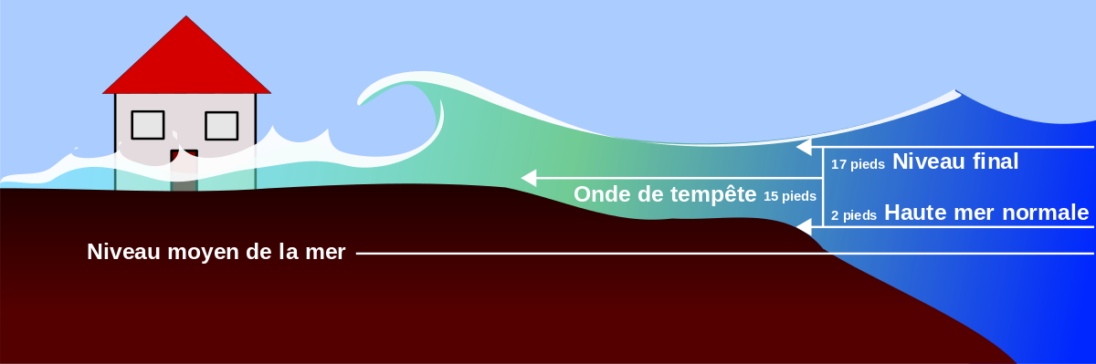 Onde de tempête