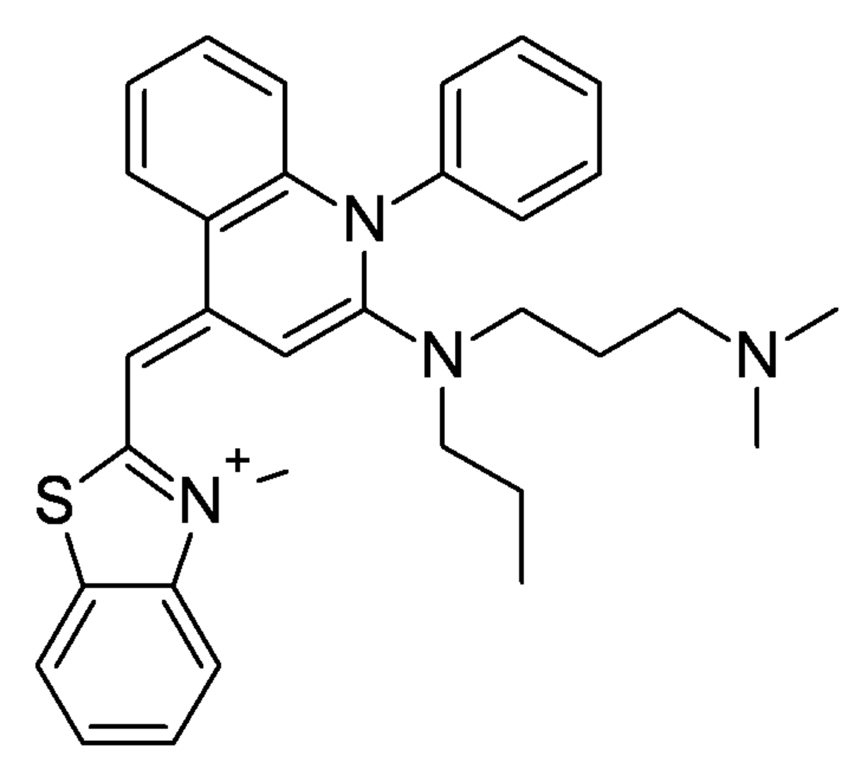SYBR Green I
