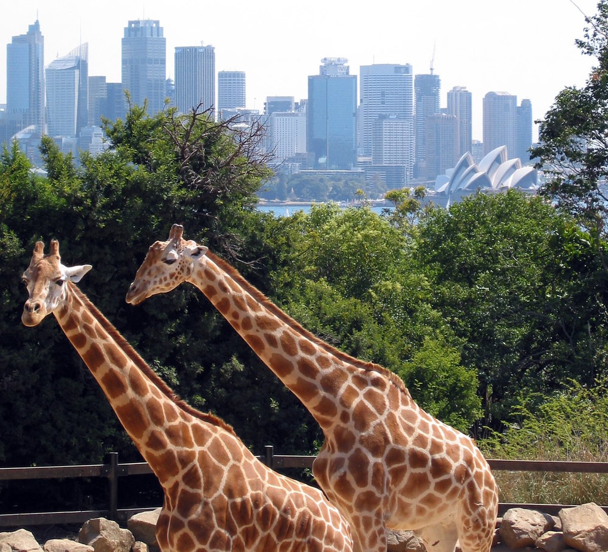 Parc zoologique