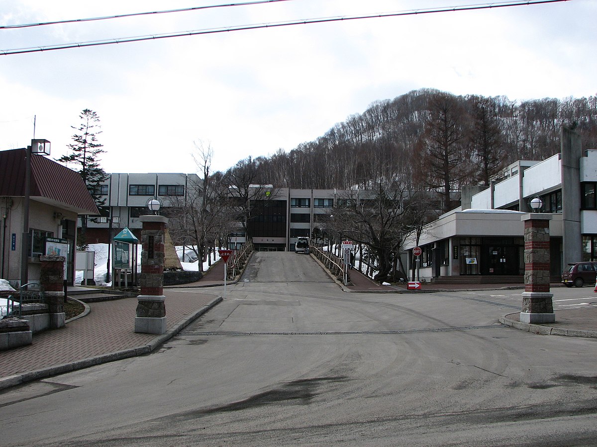 Université de commerce d'Otaru