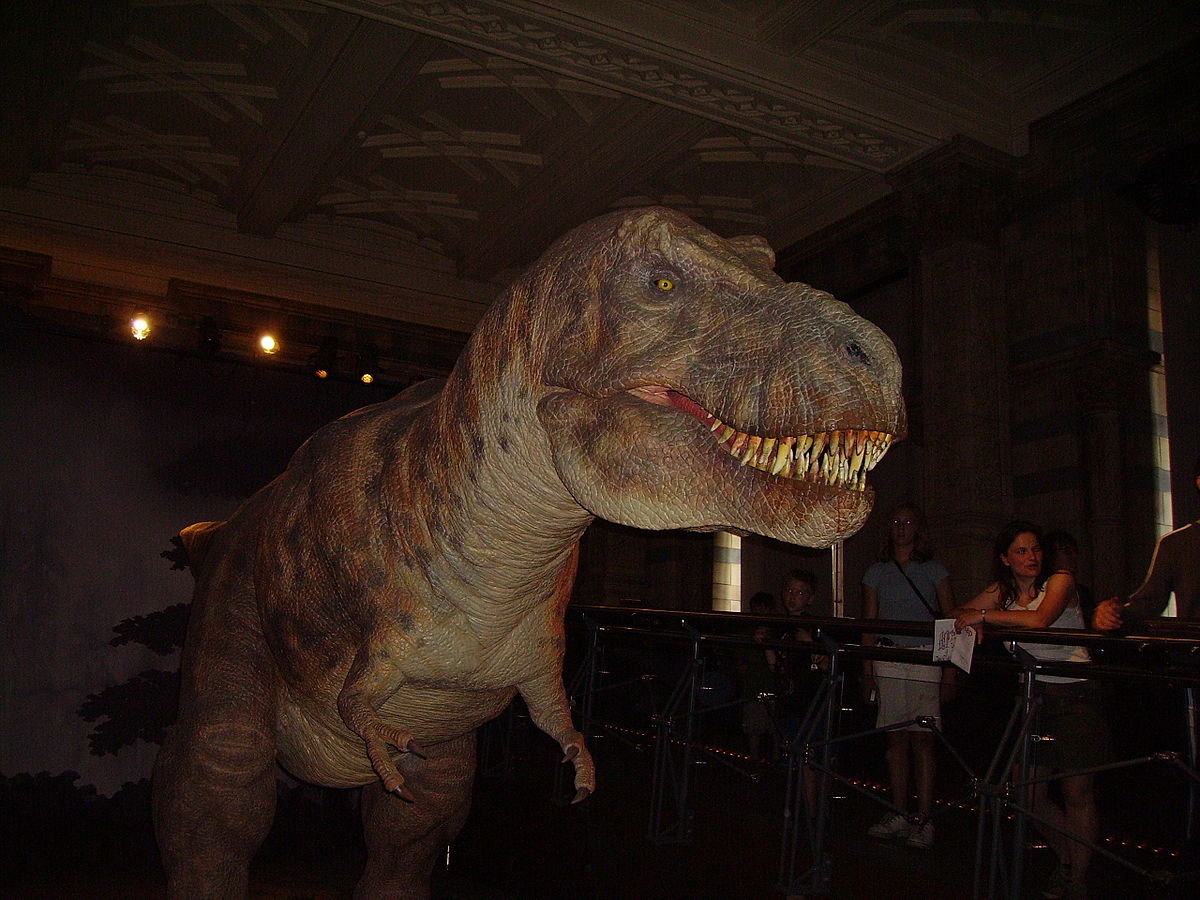 Tyrannosaure