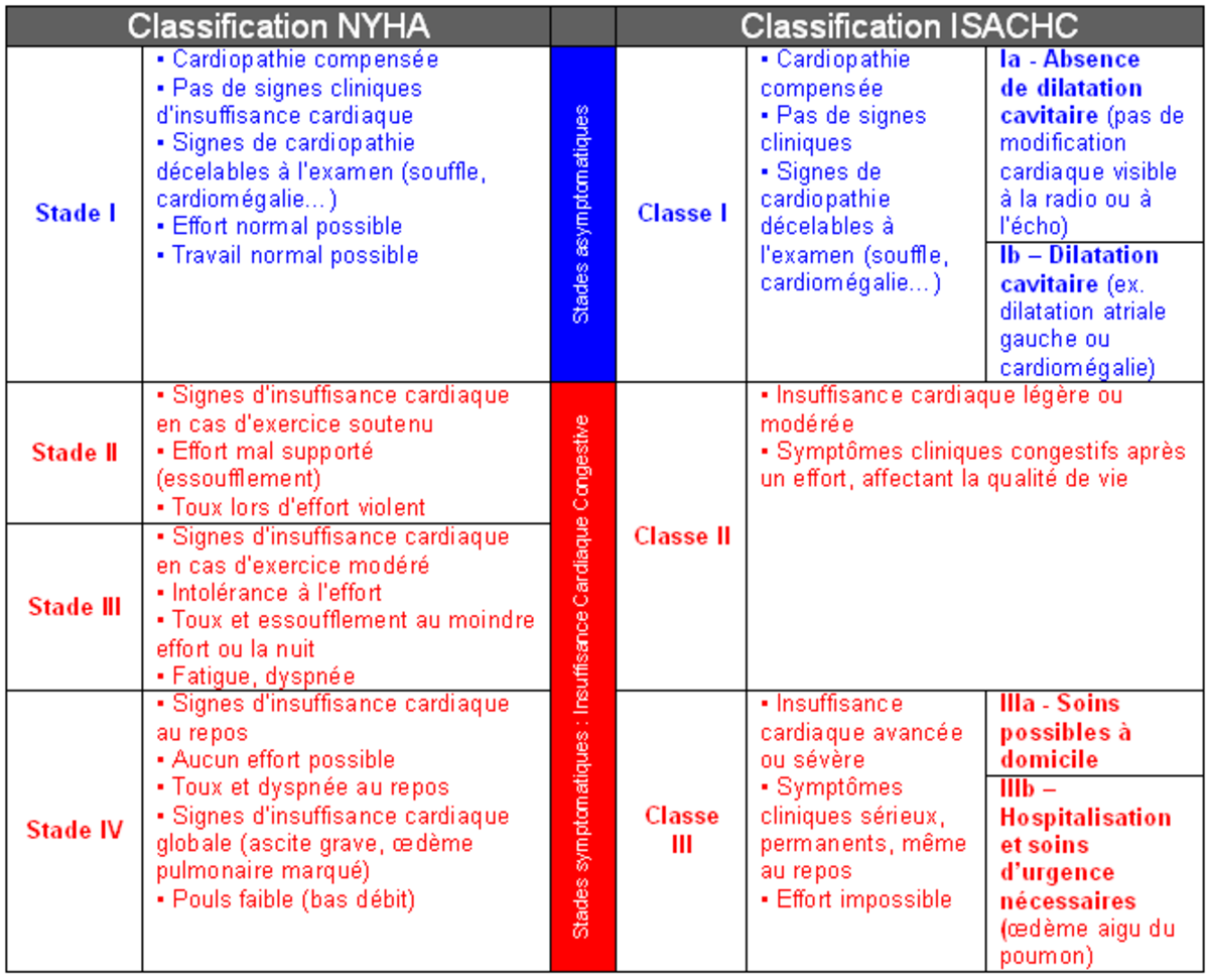 Insuffisance cardiaque