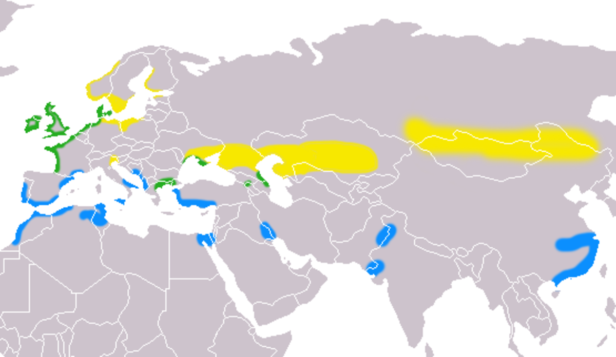 Tadorna tadorna distribution.png