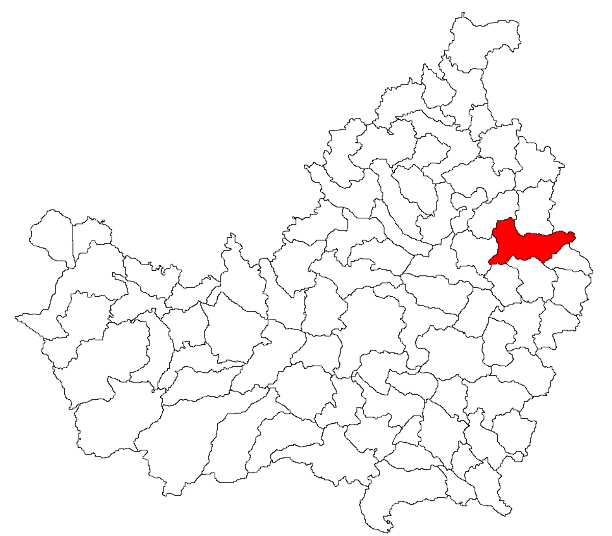 Ţaga