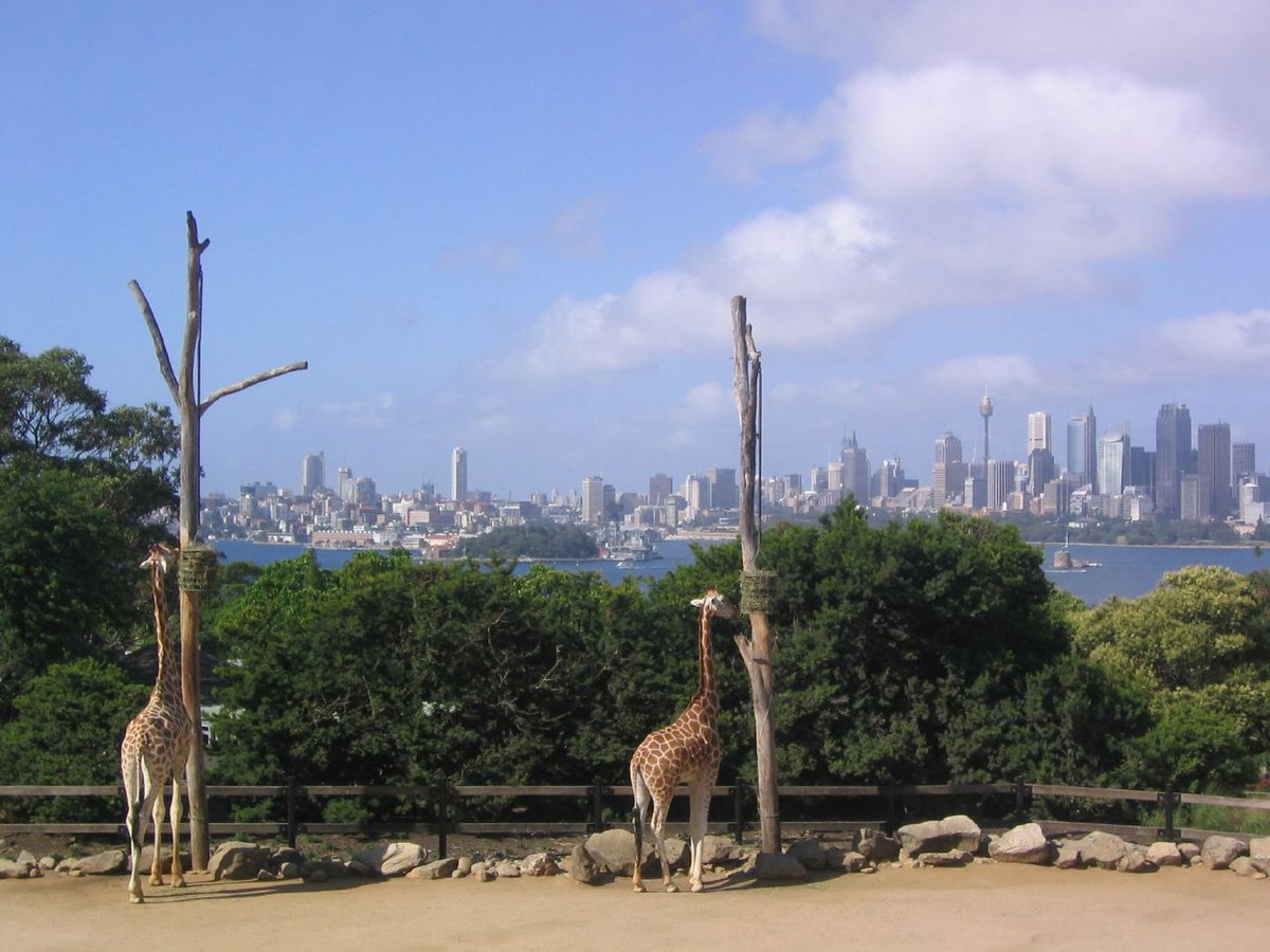 Zoo de Taronga