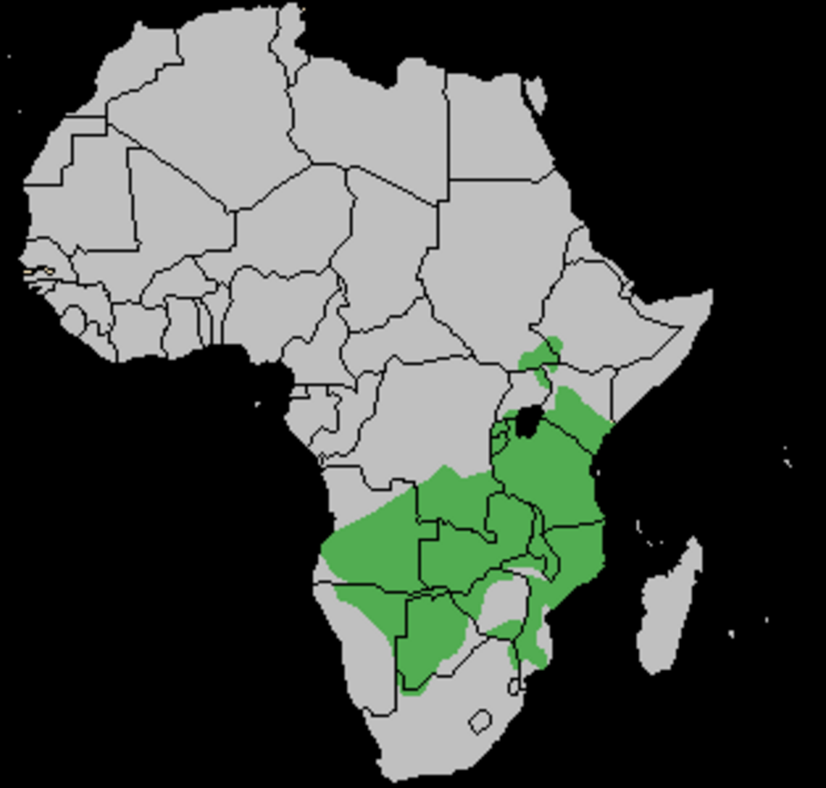 Taurotragus oryx distribution.png
