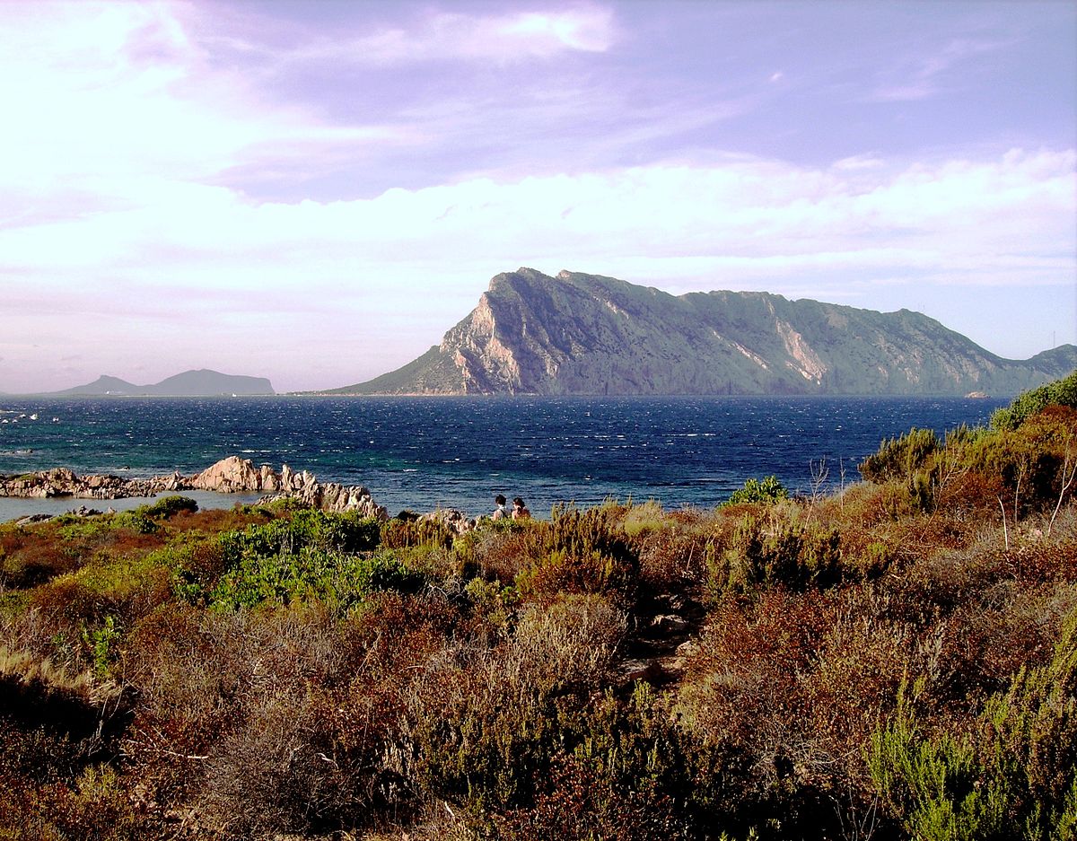 Tavolara