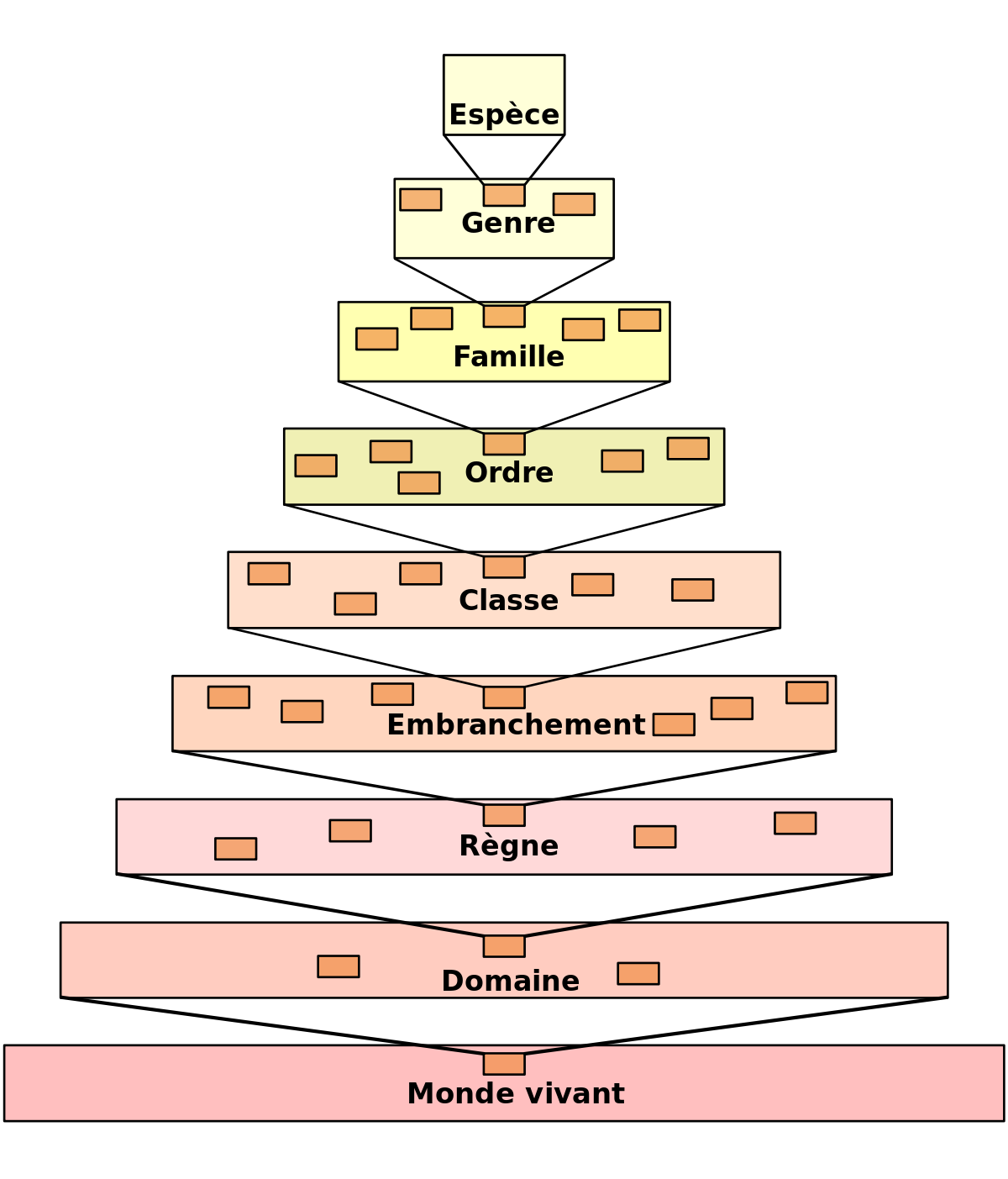 Espèce