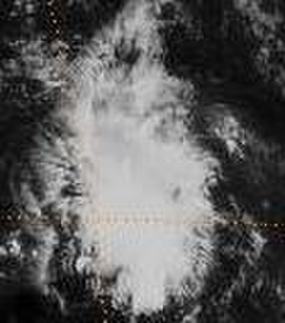 TD12(1999).JPG