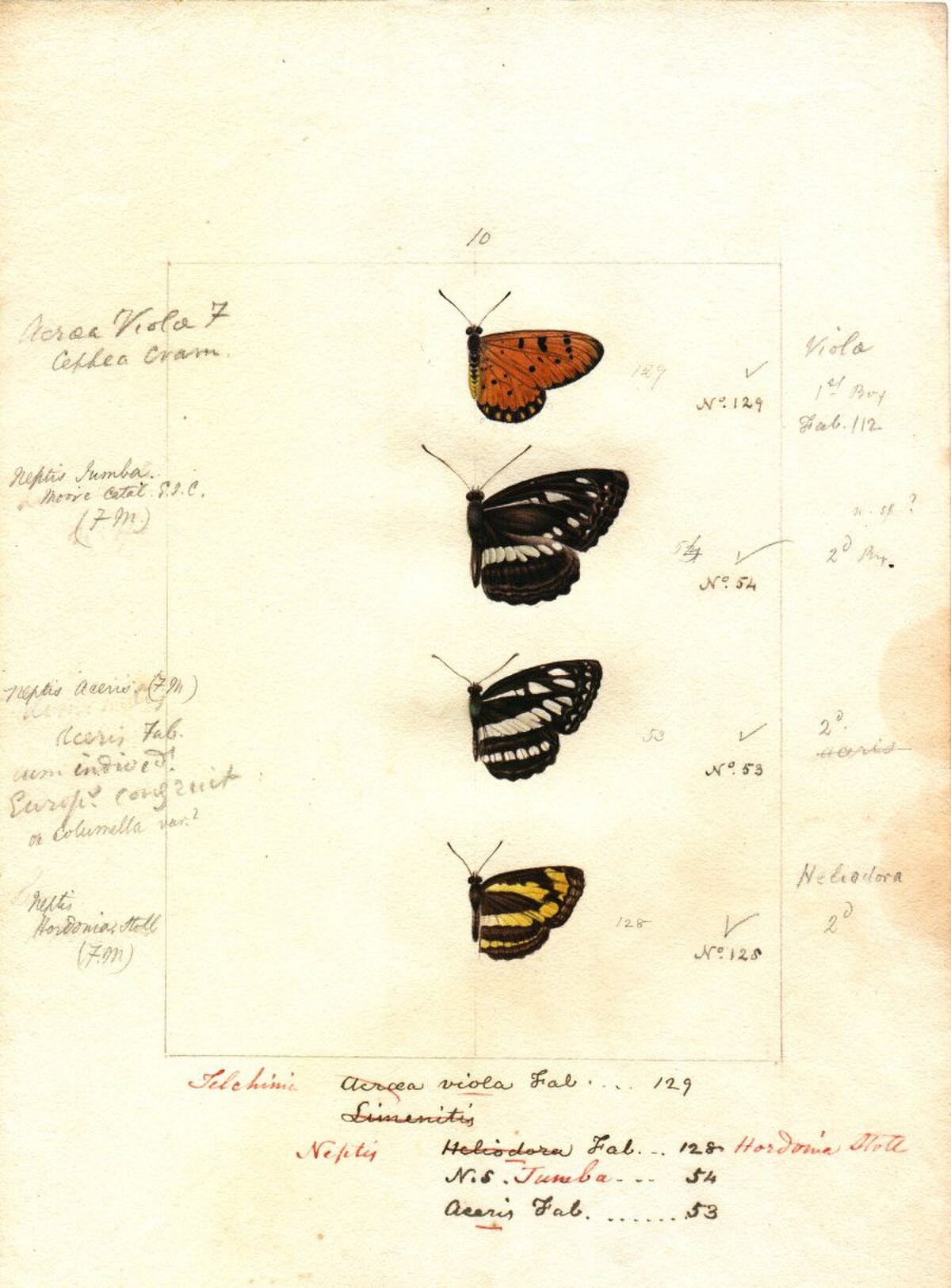 Templeton watercolour ulster.jpg