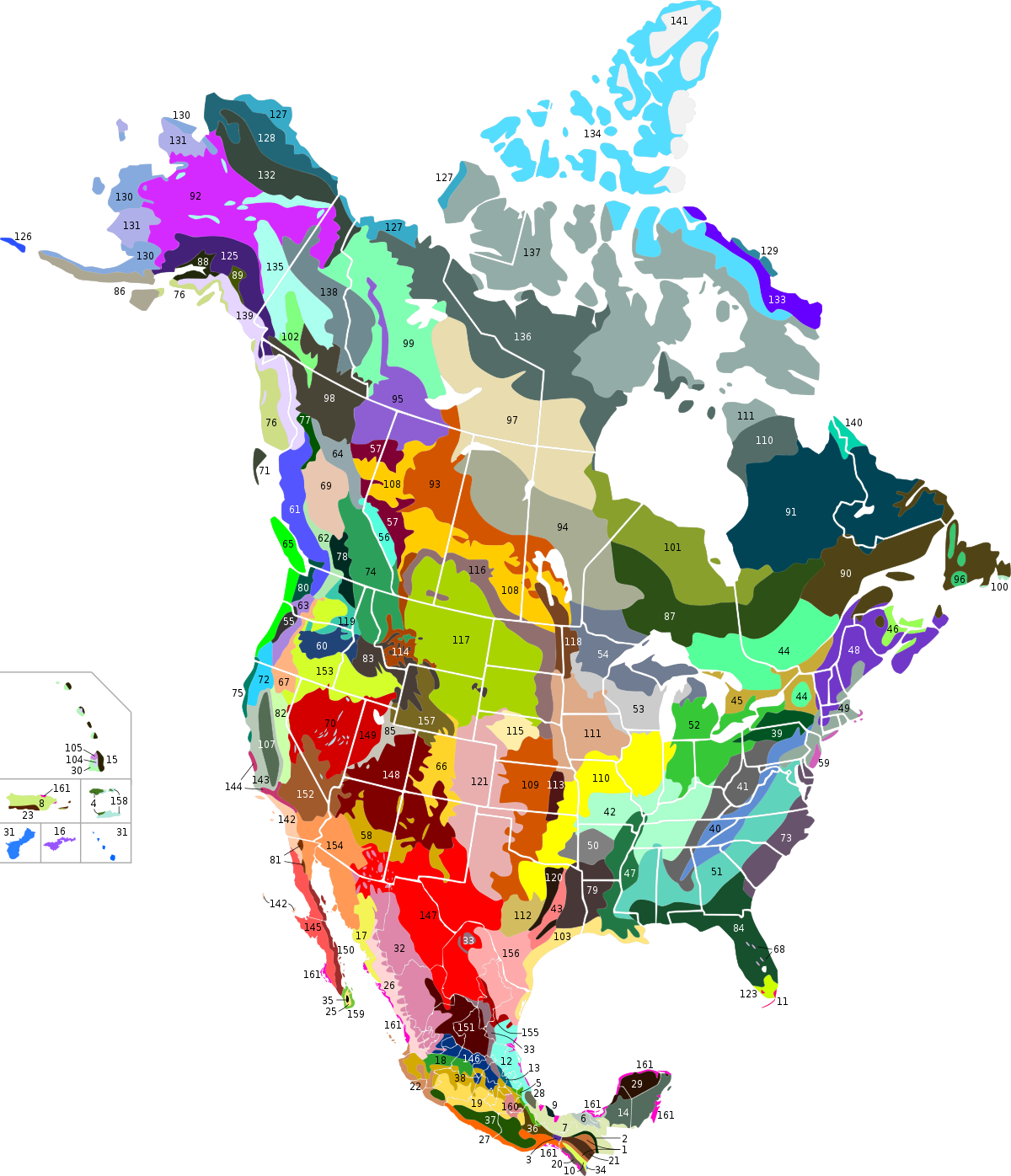 Terrestrial ecoregions USA CAN MEX.svg