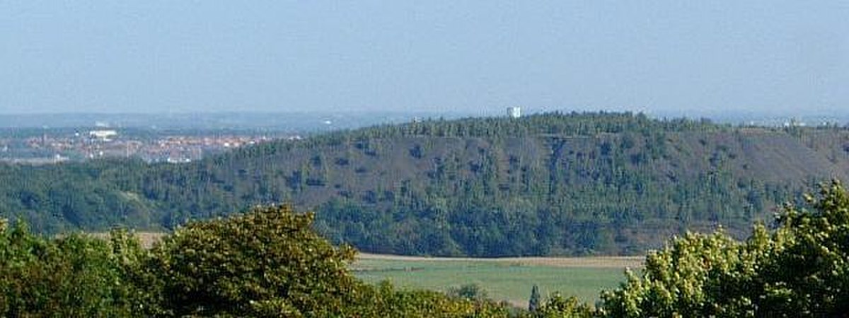 Terril