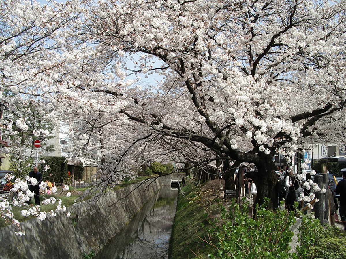 Printemps