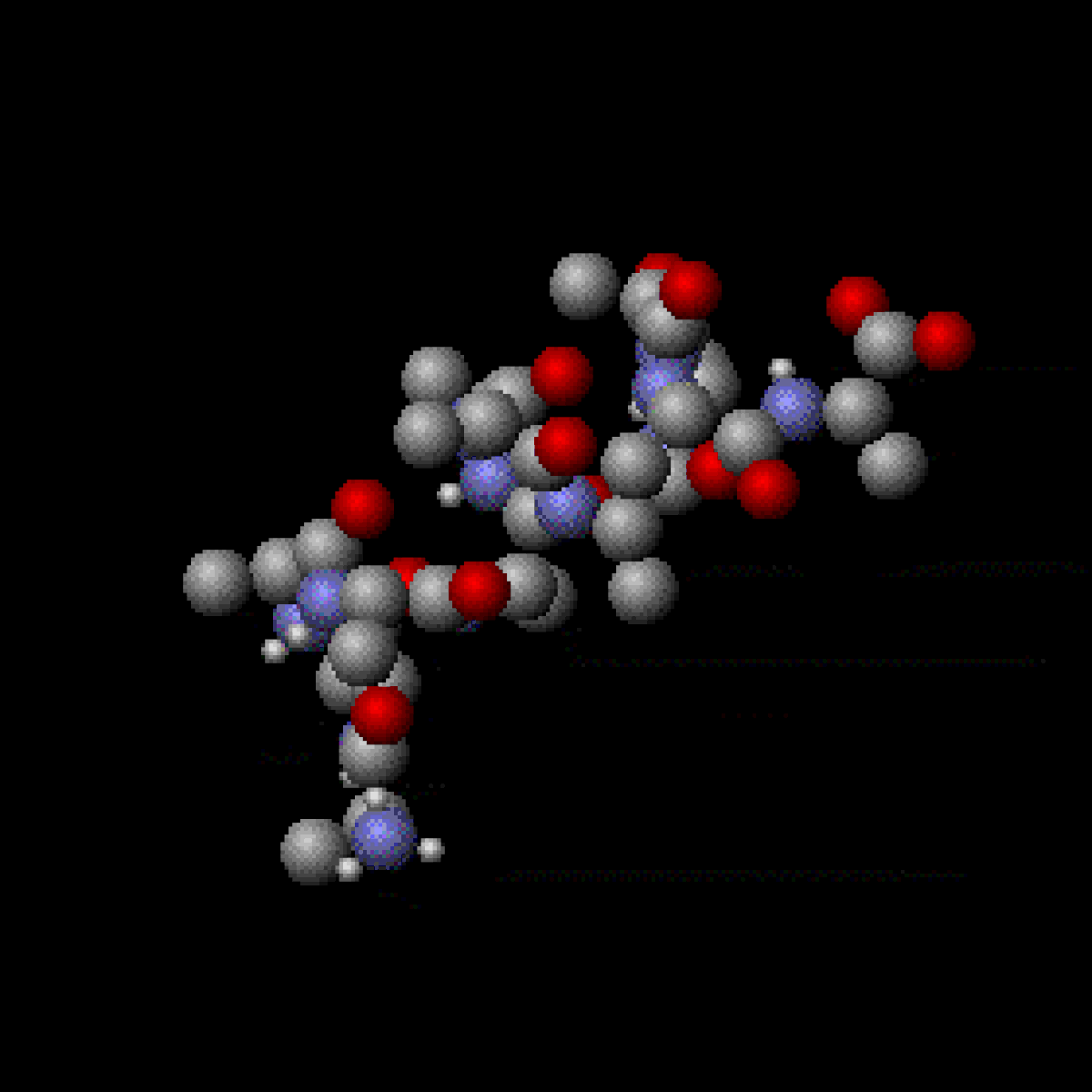 Mouvement thermique d'un segment de molécule d'une protéine.