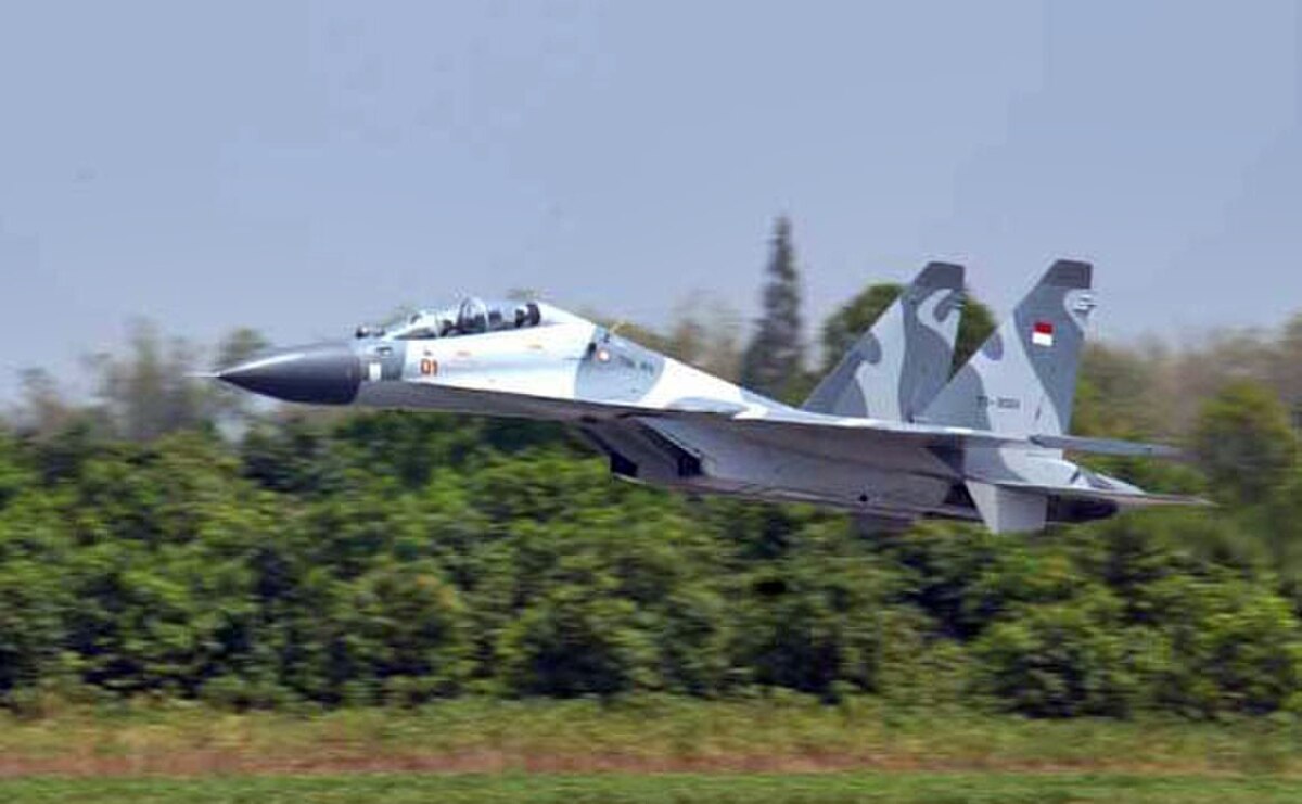 Armée de l'air indonésienne