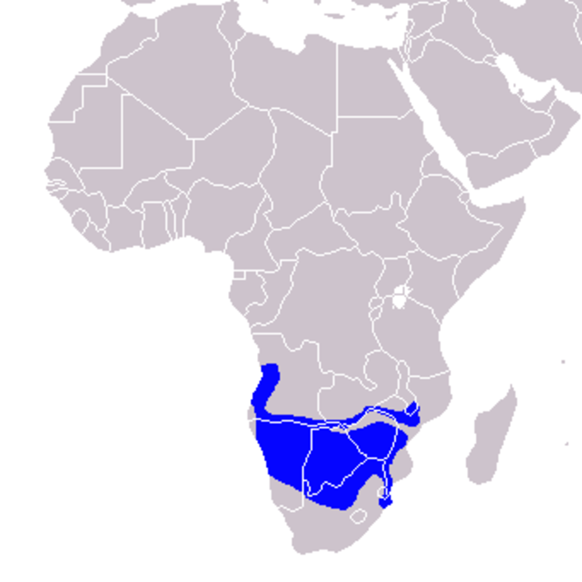 Tockus leucomelas - Distribution.png
