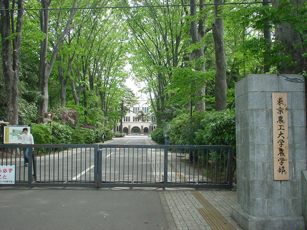 Université d'agriculture et de technologie de Tōkyō