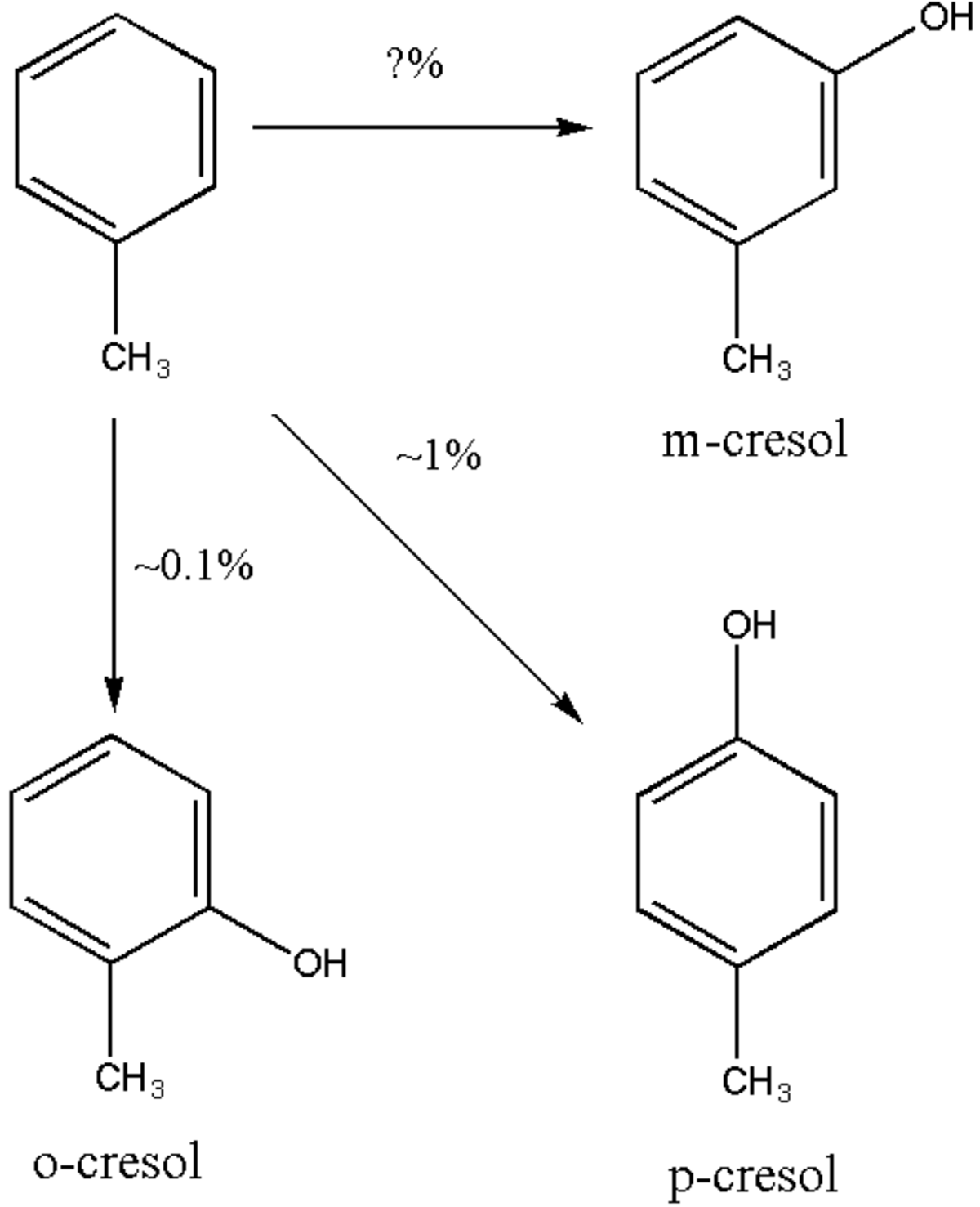 Voie métabolique du crésol