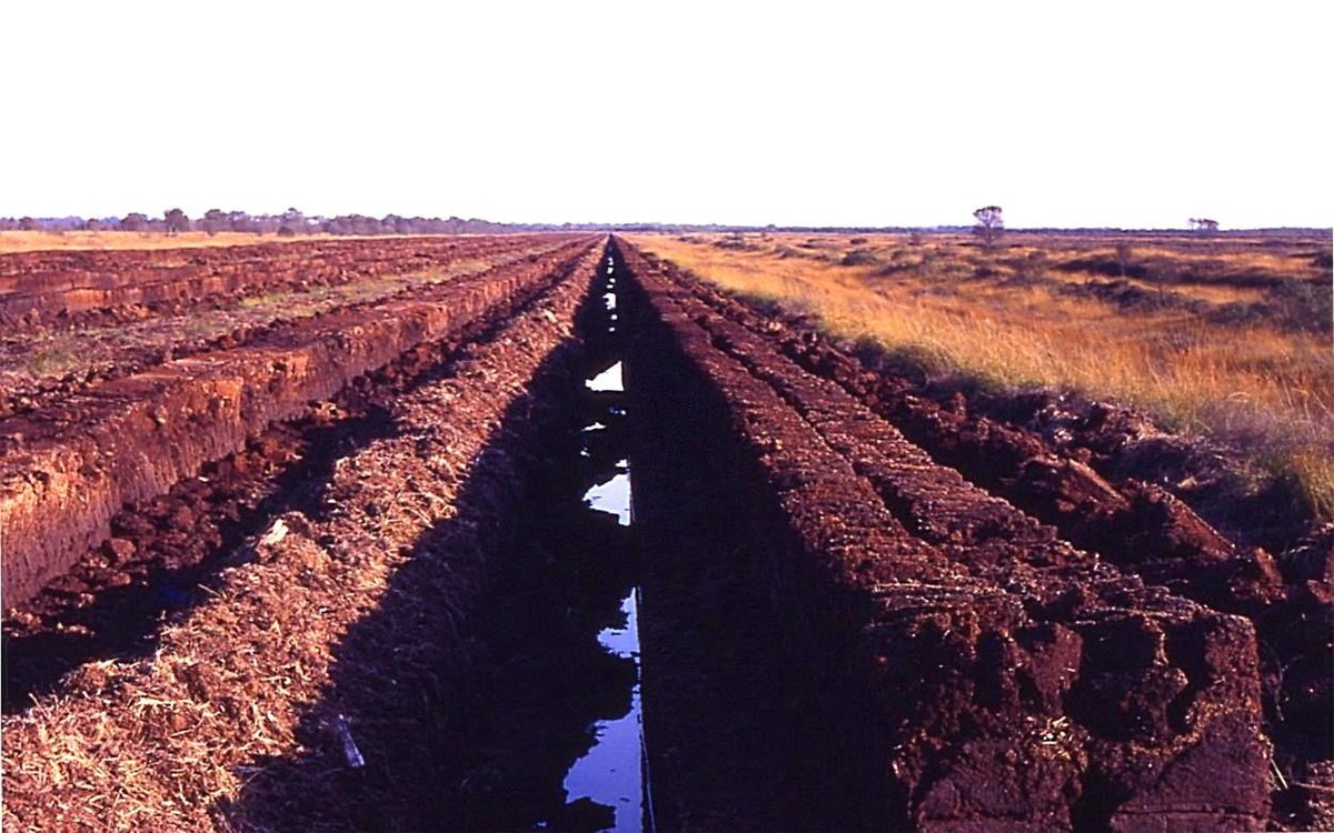 Exploitation en zone de conservation de la nature, en 1987, dans l'