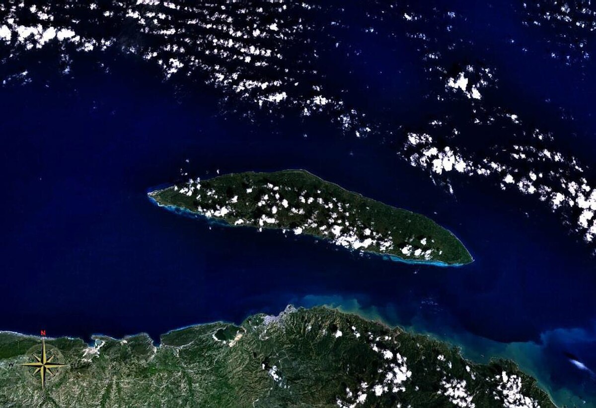 Île de la Tortue